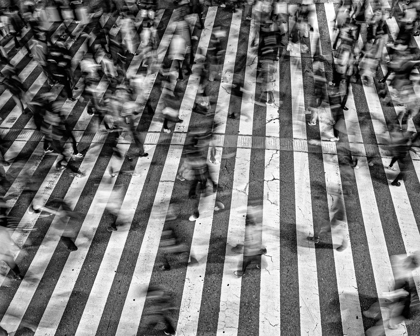 Shibuya Crossing No 3