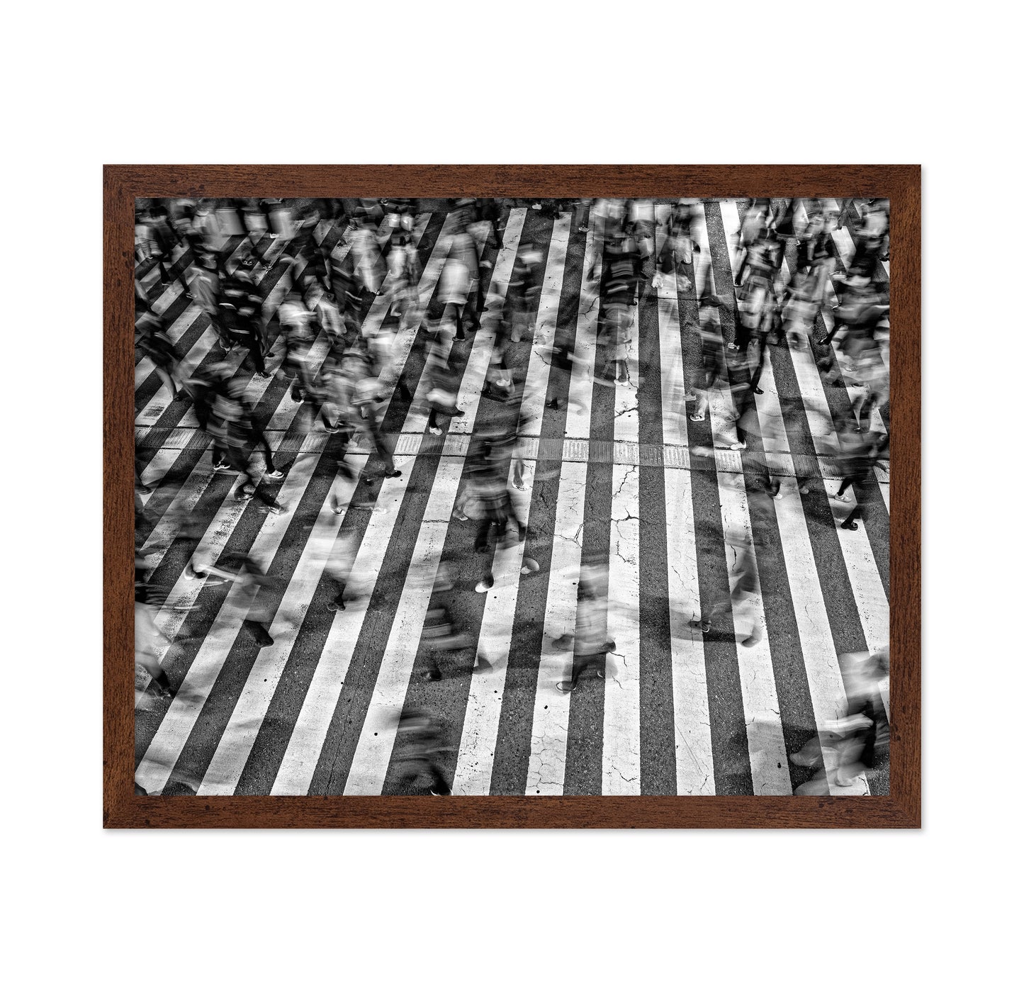 Shibuya Crossing No 3