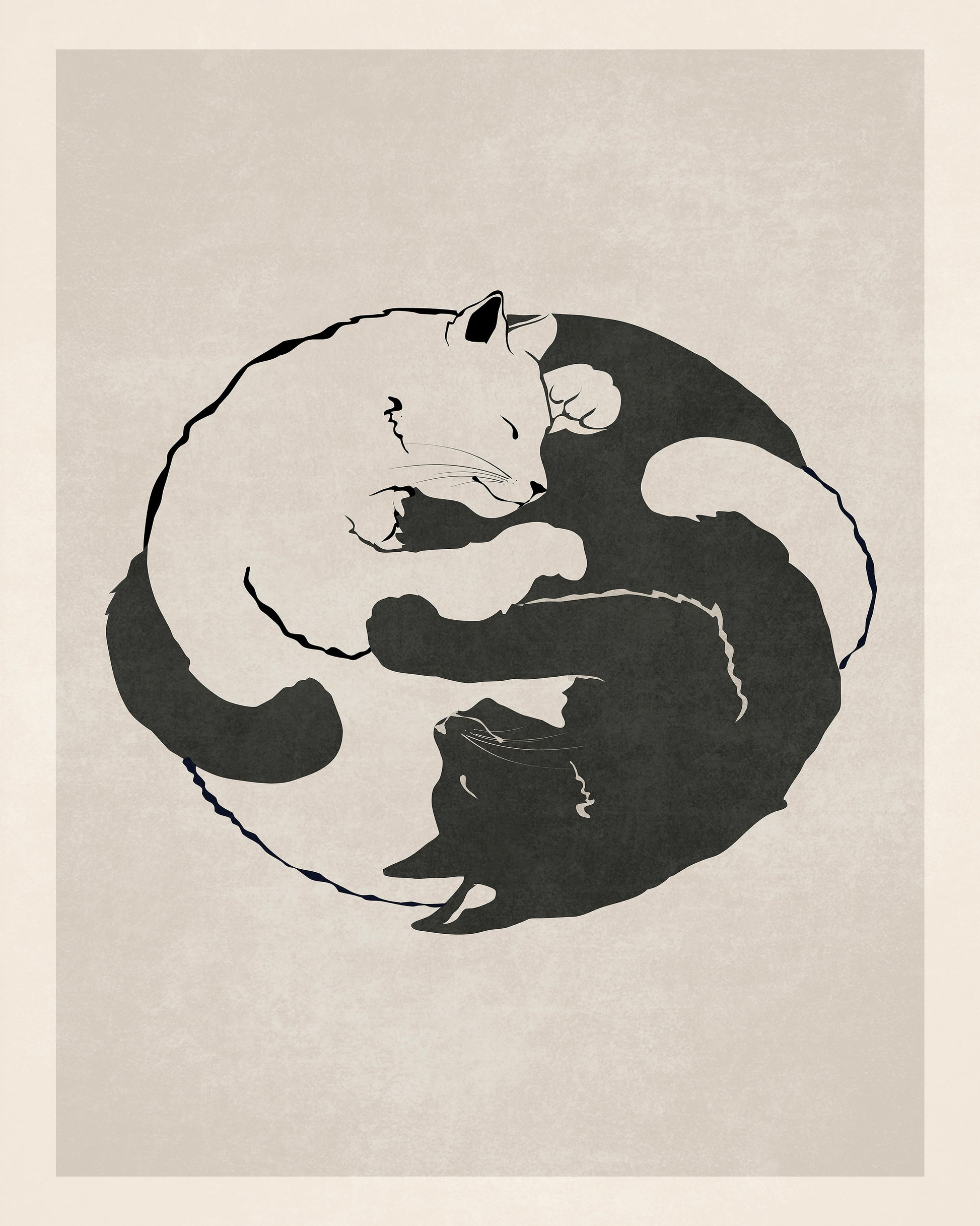 Feline Harmony