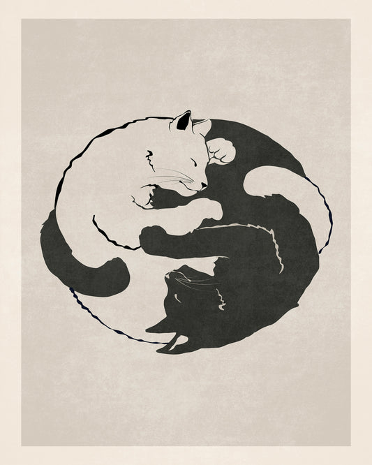 Feline Harmony