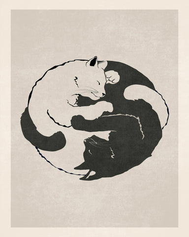 Feline Harmony