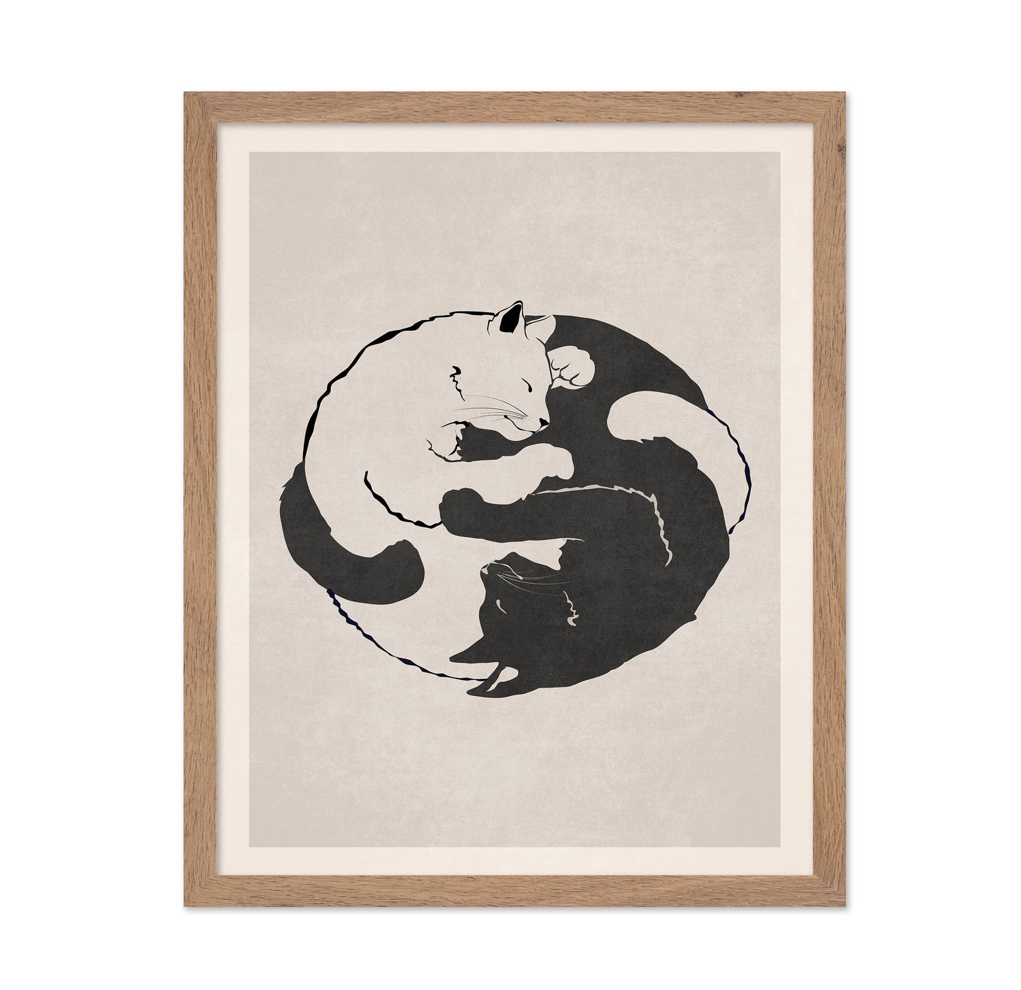 Feline Harmony