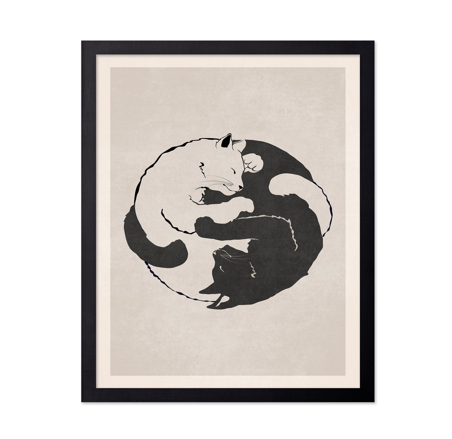 Feline Harmony