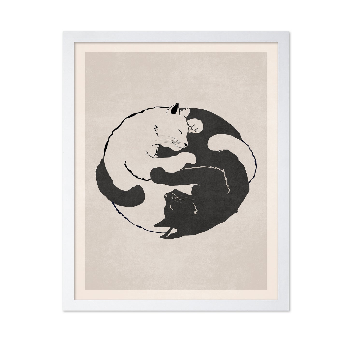 Feline Harmony