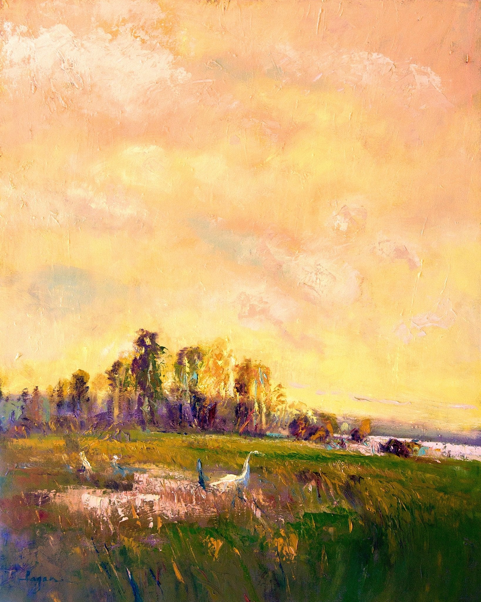 Sunlit Meadowscape