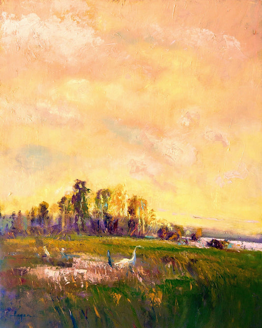 Sunlit Meadowscape