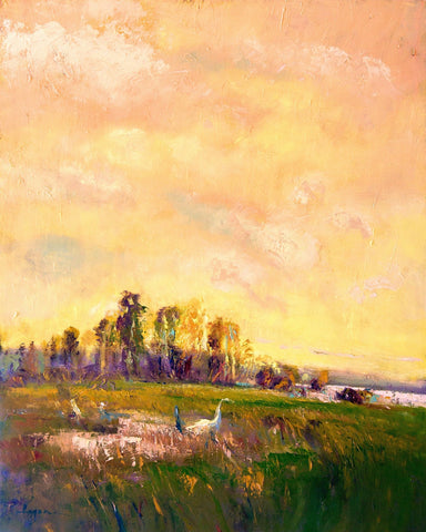 Sunlit Meadowscape
