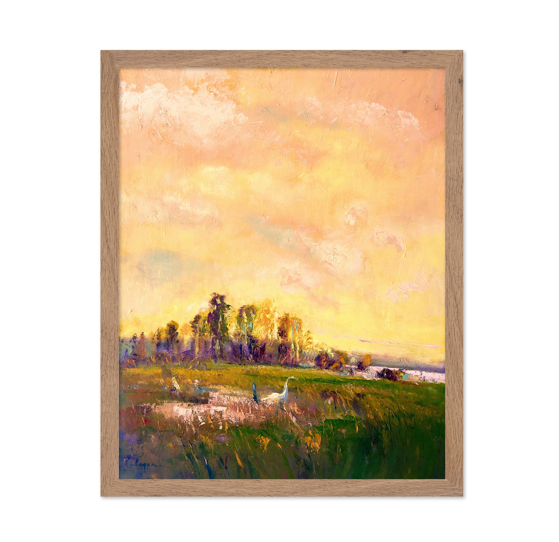 Sunlit Meadowscape