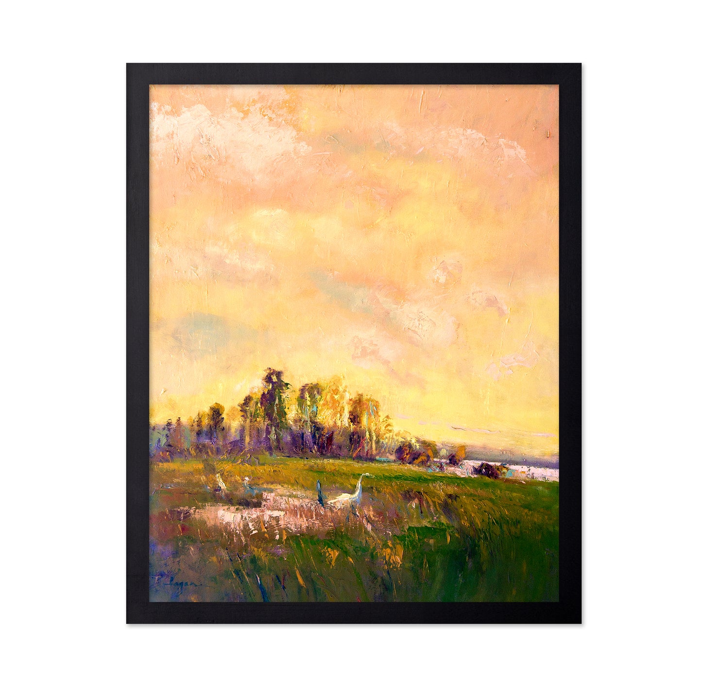 Sunlit Meadowscape