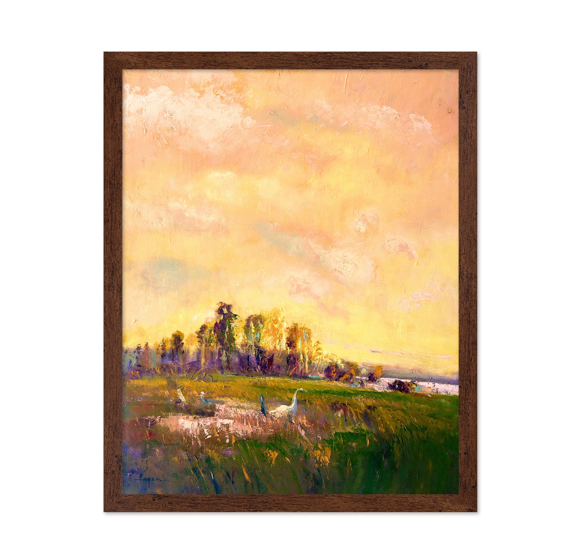 Sunlit Meadowscape
