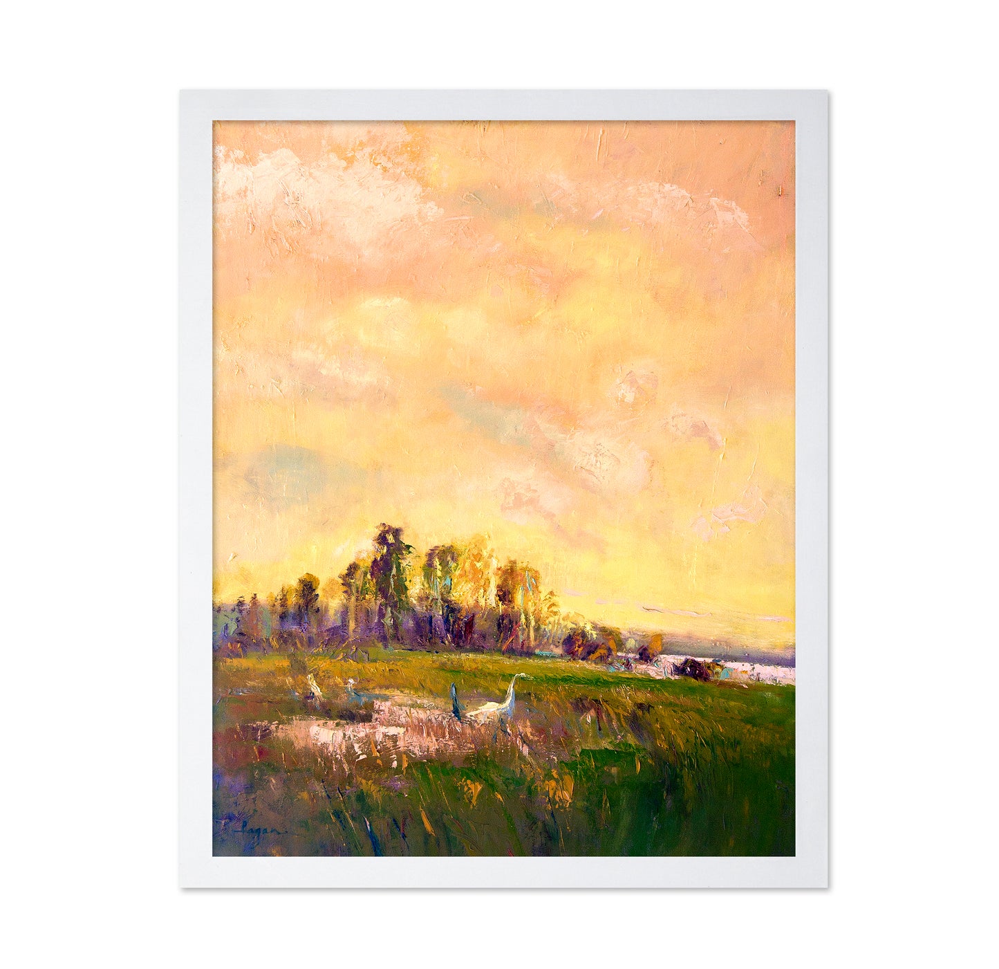 Sunlit Meadowscape