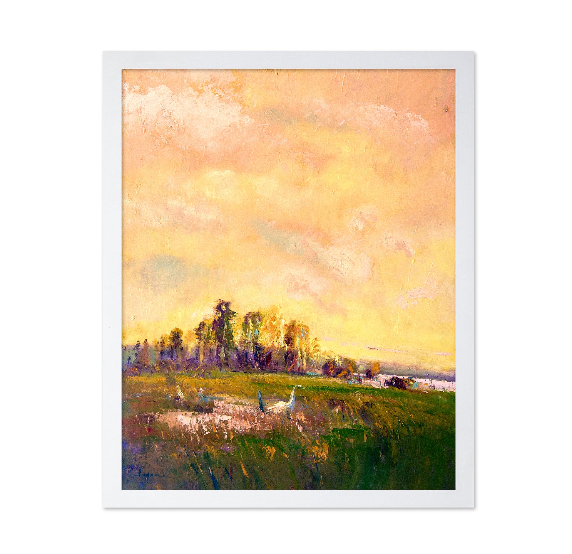 Sunlit Meadowscape