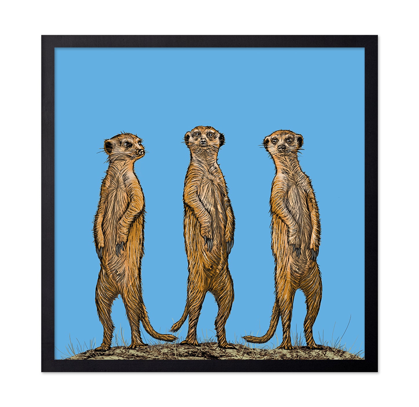 Meerkat Gang At Sunset