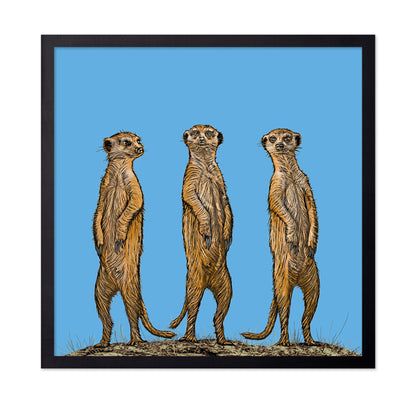 Meerkat Gang At Sunset