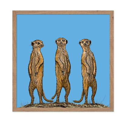 Meerkat Gang At Sunset