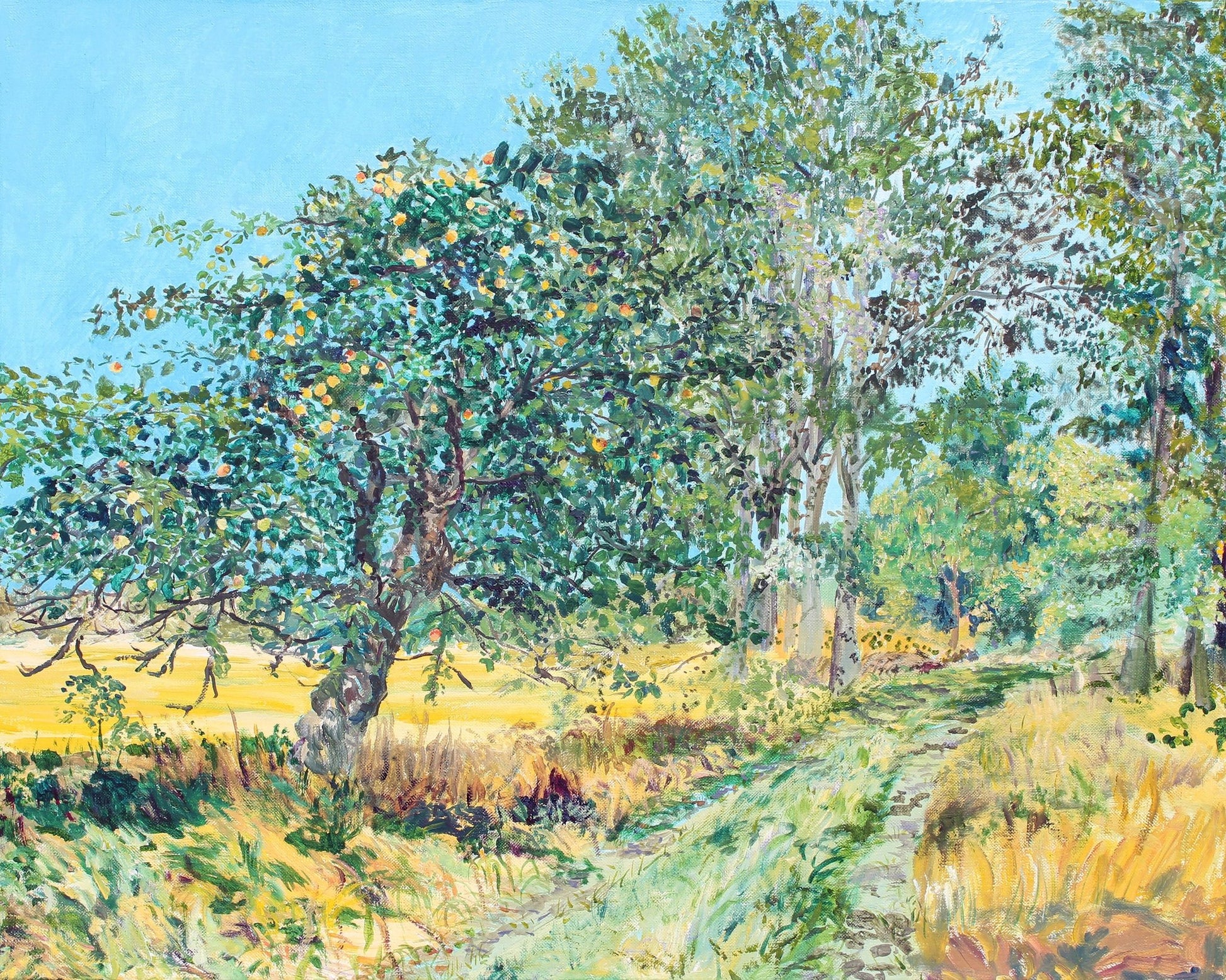 Ahrensnest