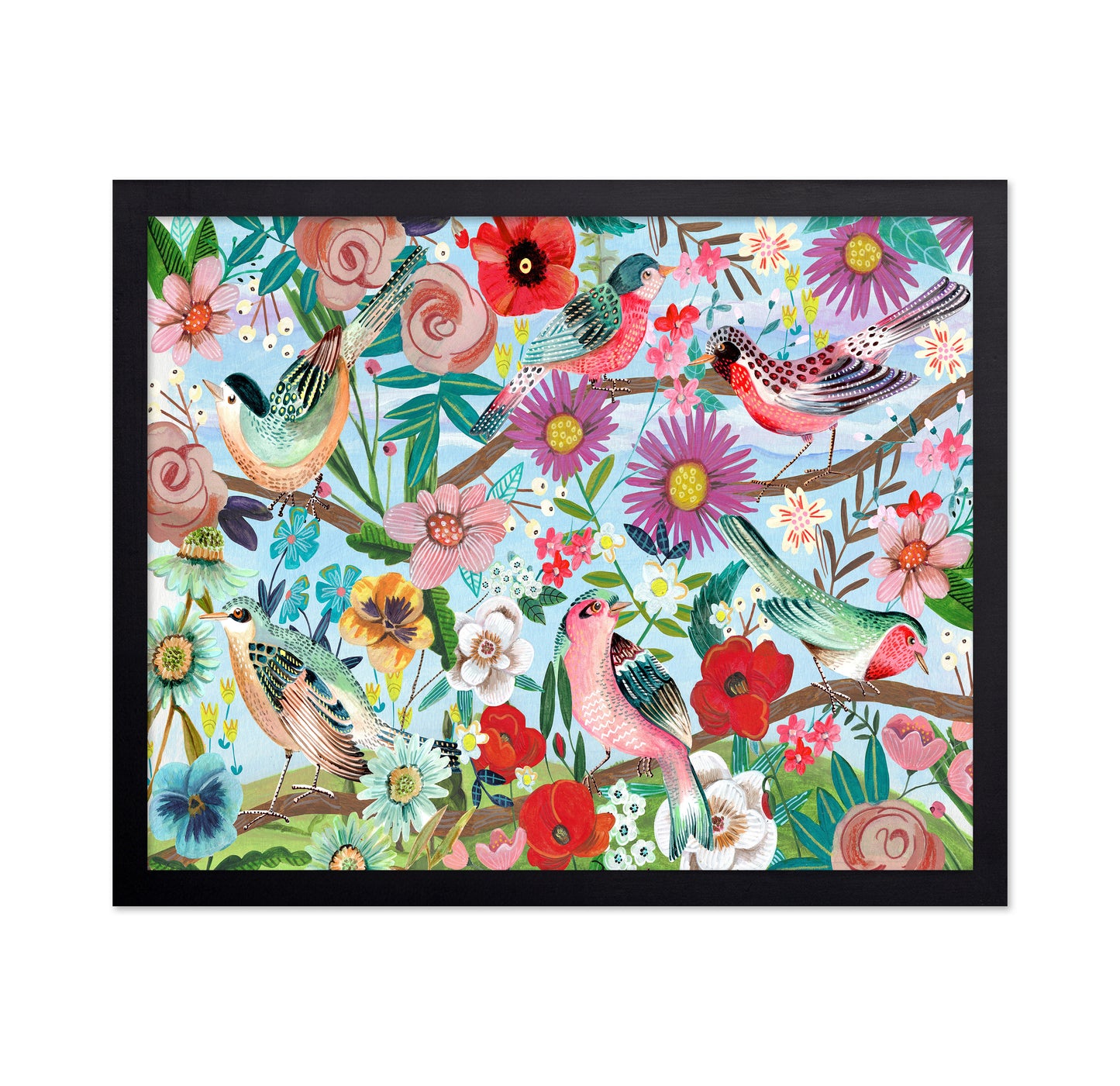 Colorful Birds