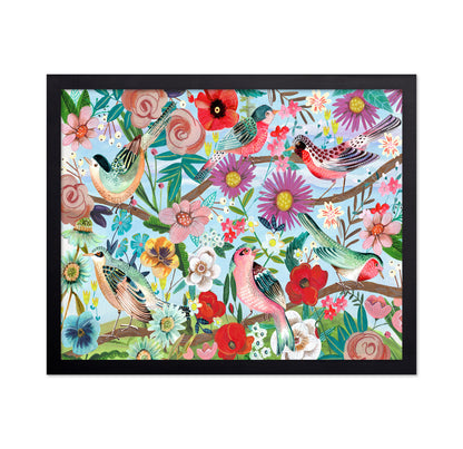 Colorful Birds