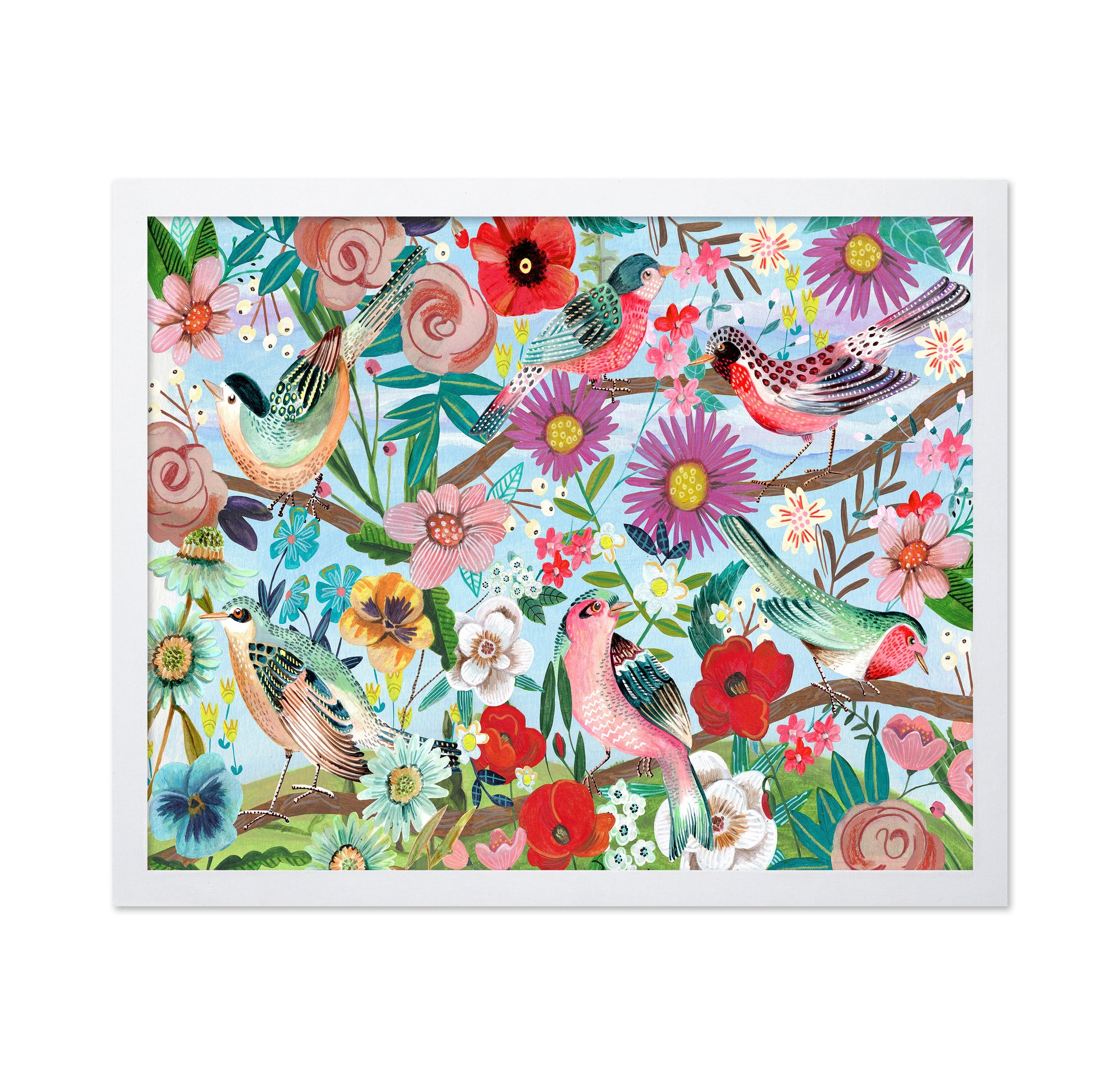 Colorful Birds