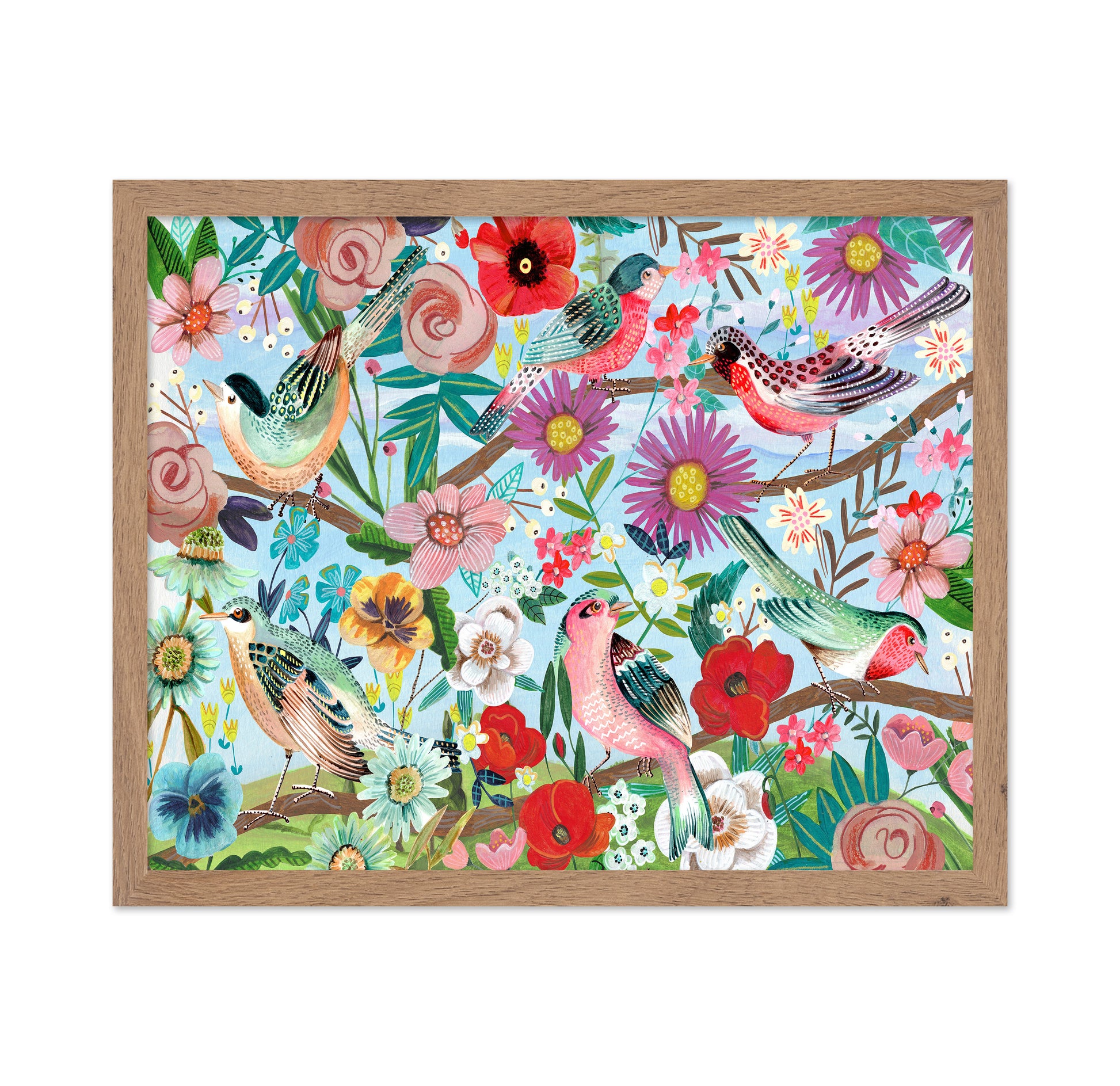 Colorful Birds