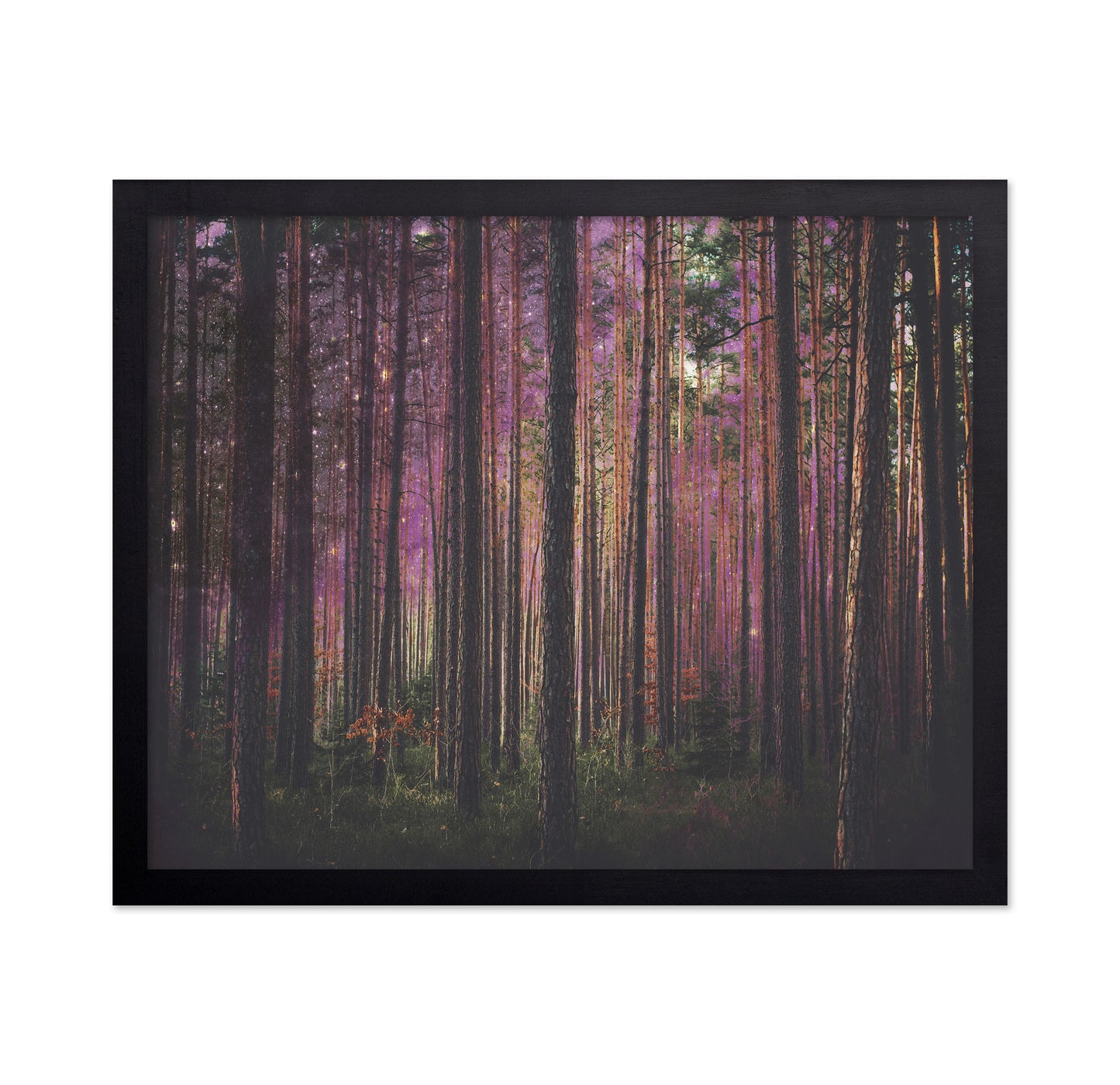 Enchanted Forest