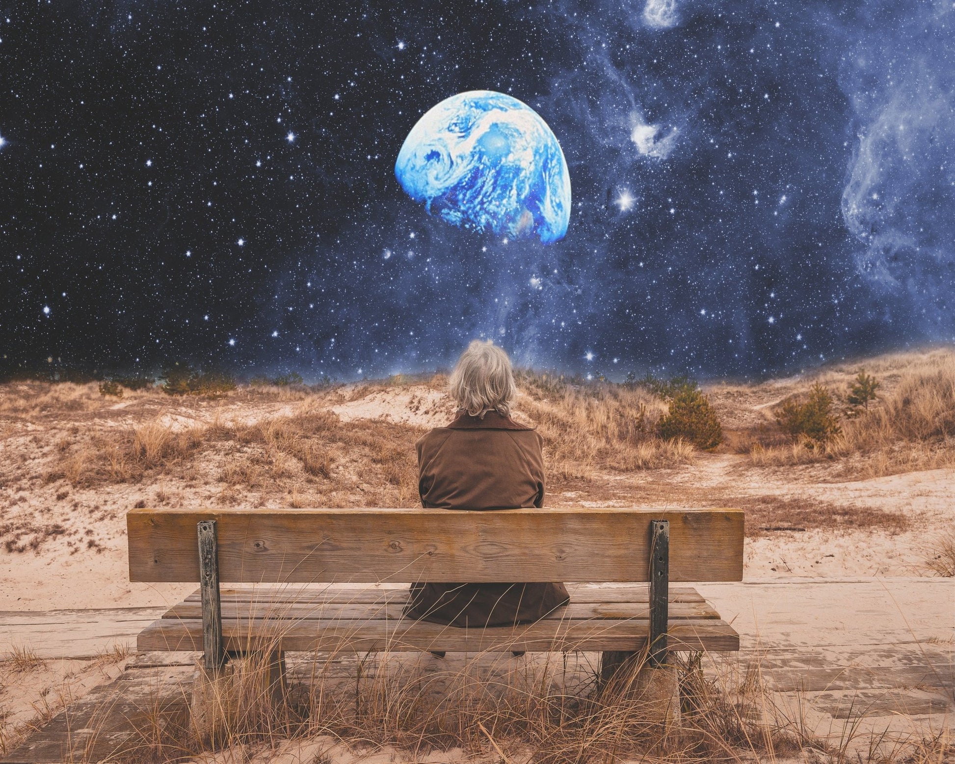 Surreal Planet Observer