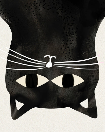 Black Cat Upside Down