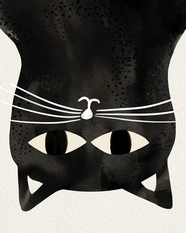 Black Cat Upside Down