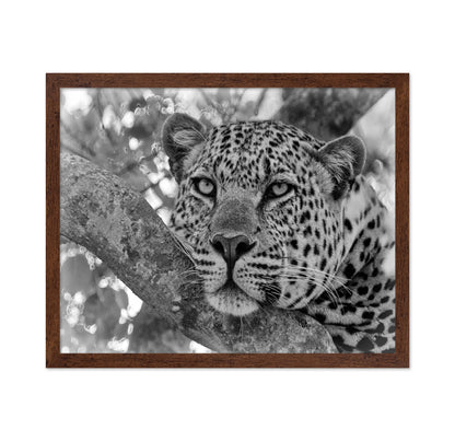 Pensive Leopard
