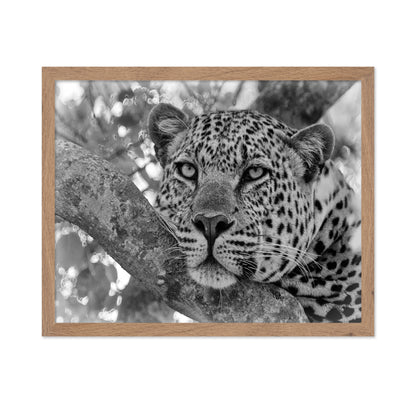 Pensive Leopard