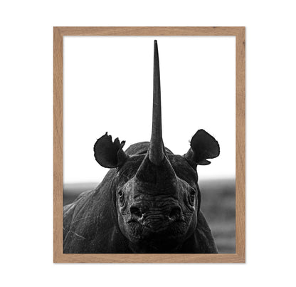Rhino Up Close And Personal