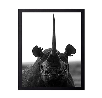 Rhino Up Close And Personal