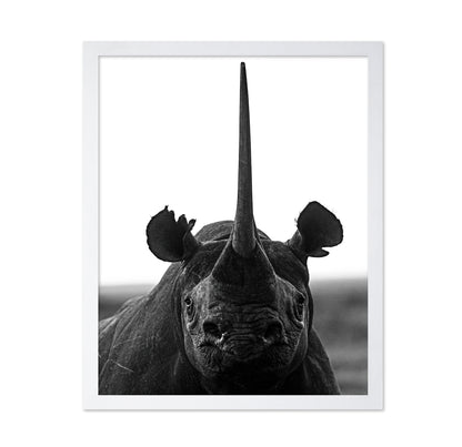 Rhino Up Close And Personal