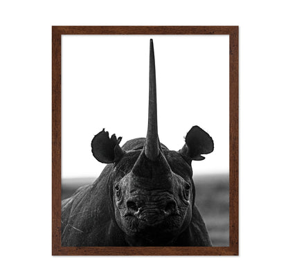 Rhino Up Close And Personal