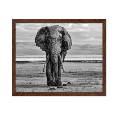 Elephant On A Mission