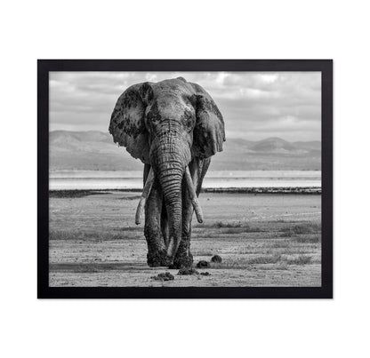 Elephant On A Mission