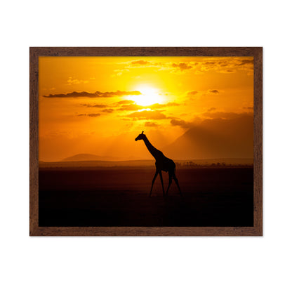 Gracious Giraffe At Sunset