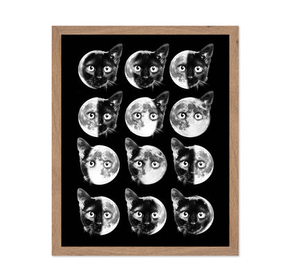 Cat Moon Phases
