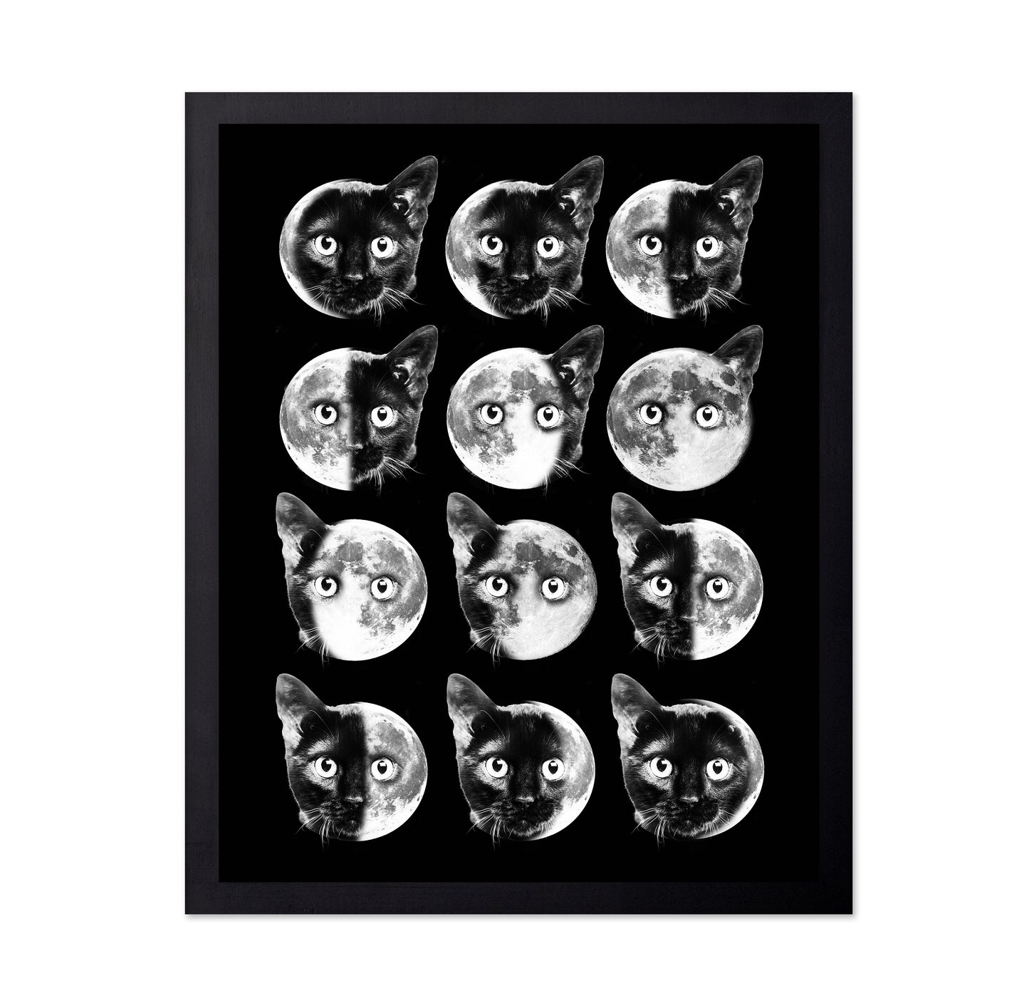 Cat Moon Phases