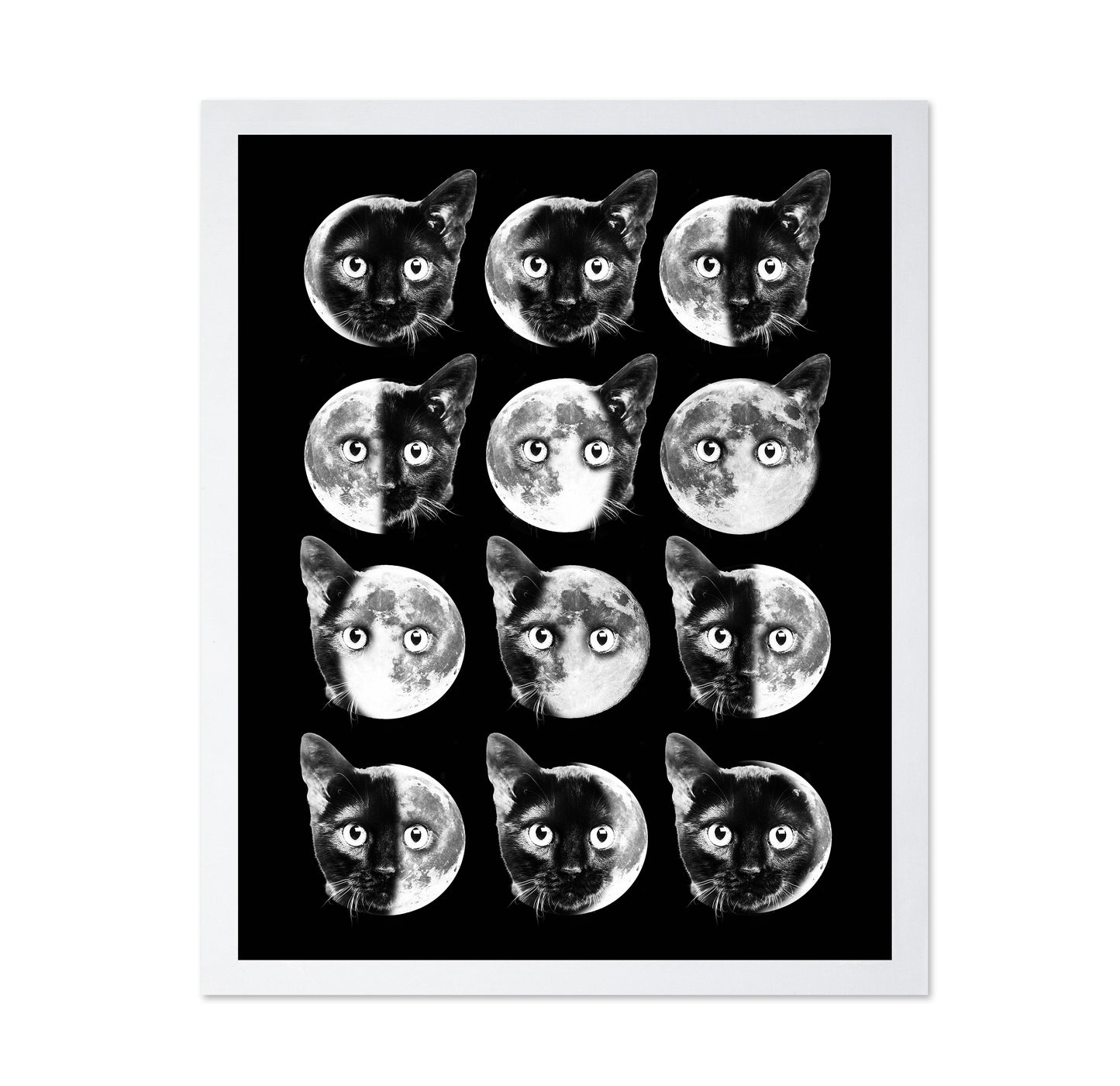 Cat Moon Phases