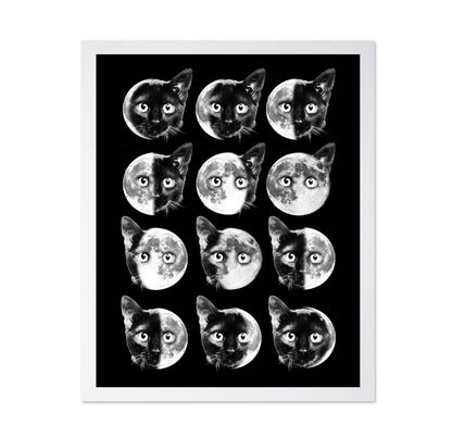 Cat Moon Phases
