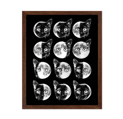 Cat Moon Phases