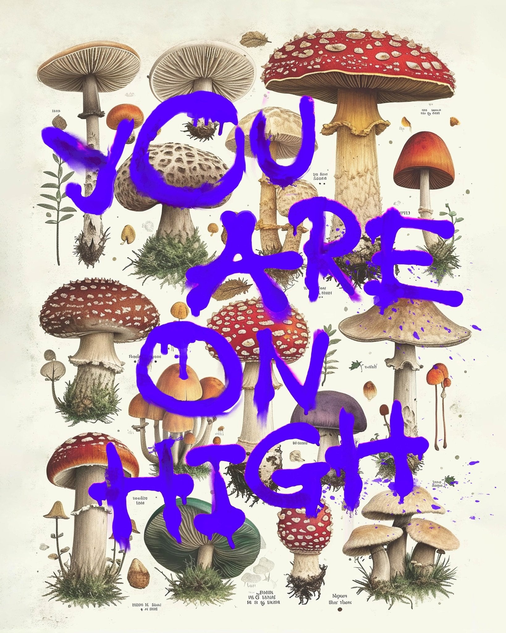 You Are On High