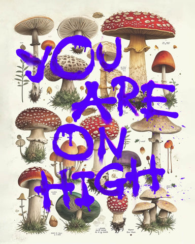 You Are On High