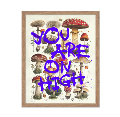 You Are On High