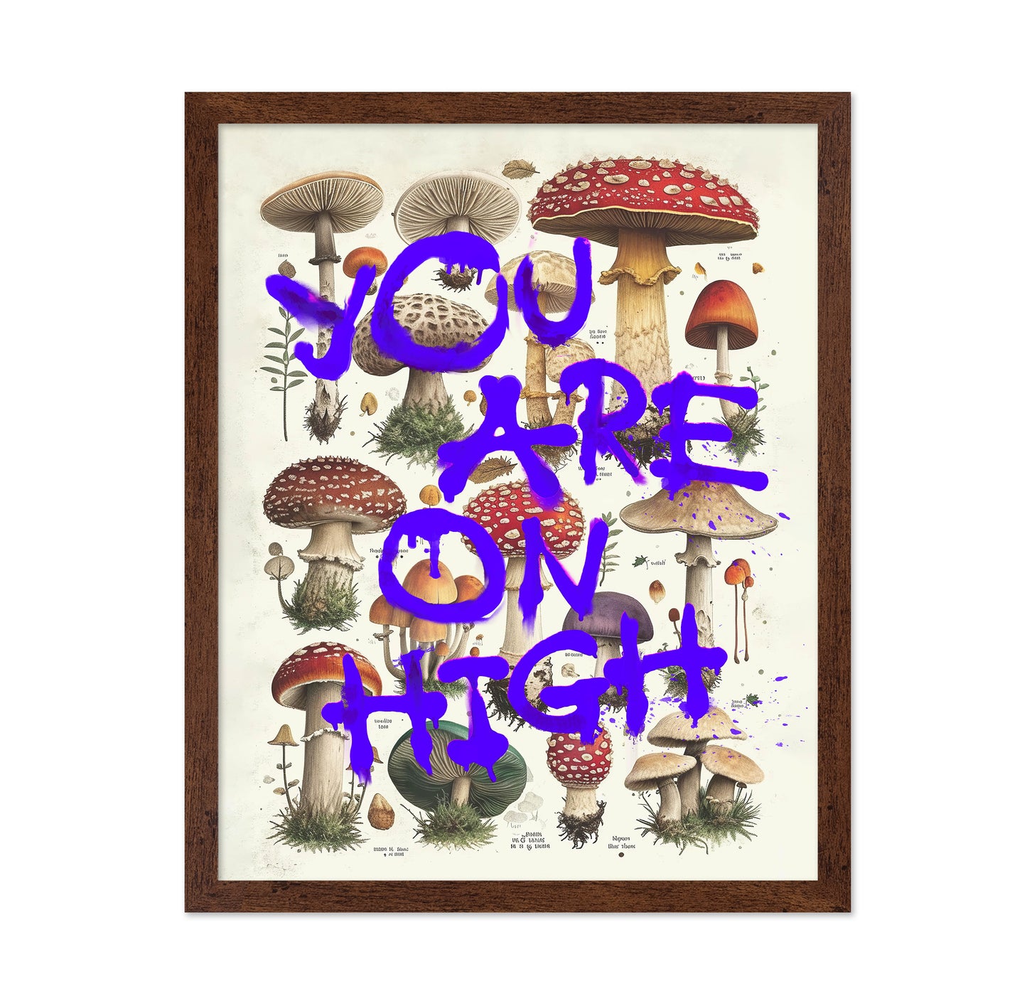 You Are On High
