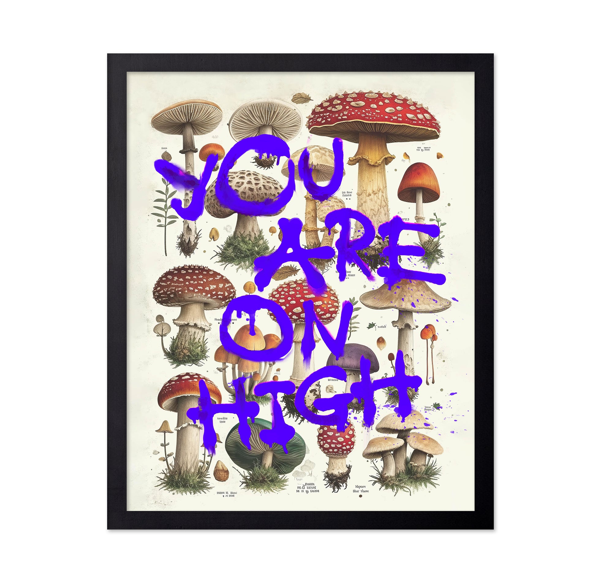 You Are On High