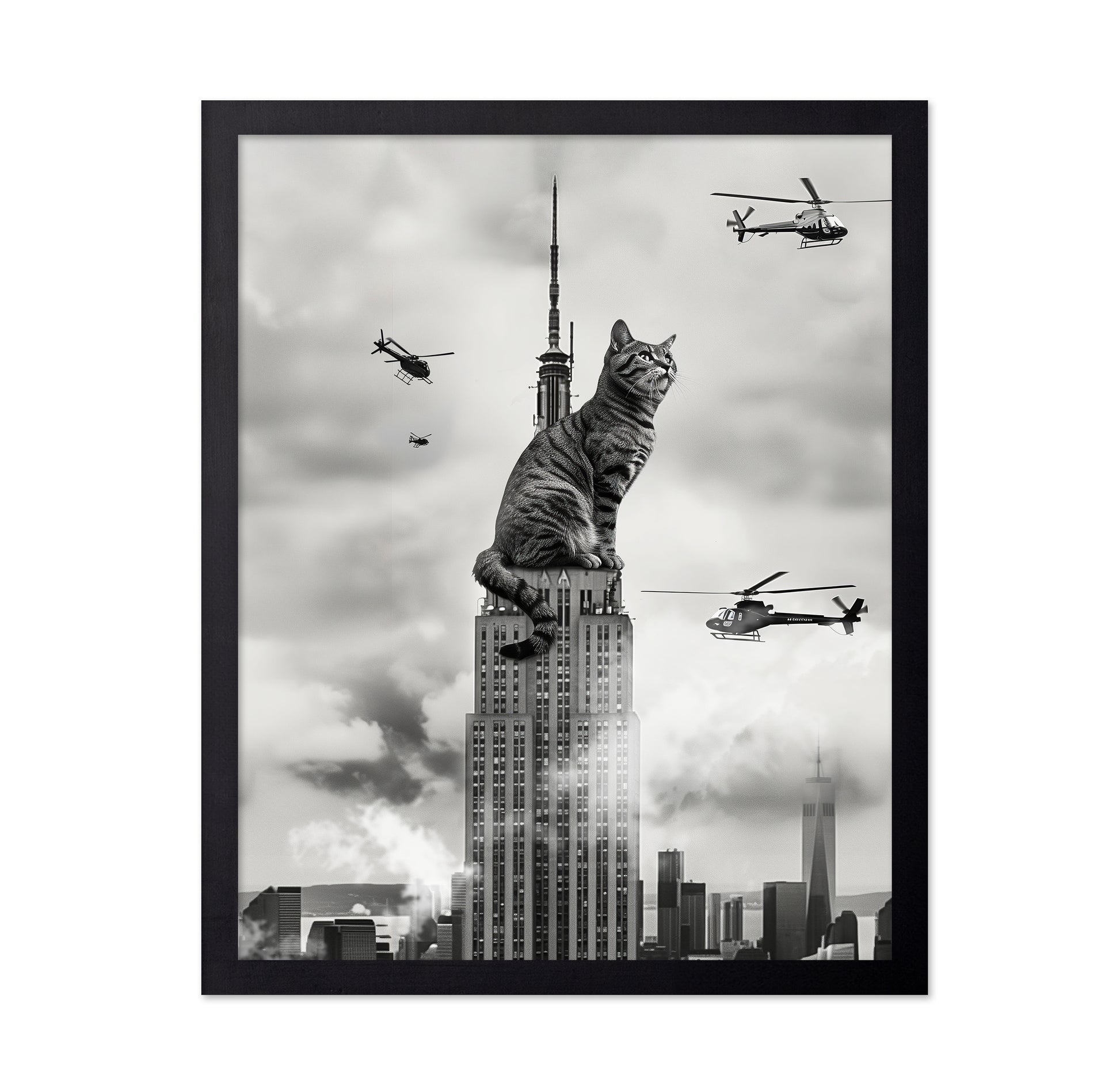 Cat On Top