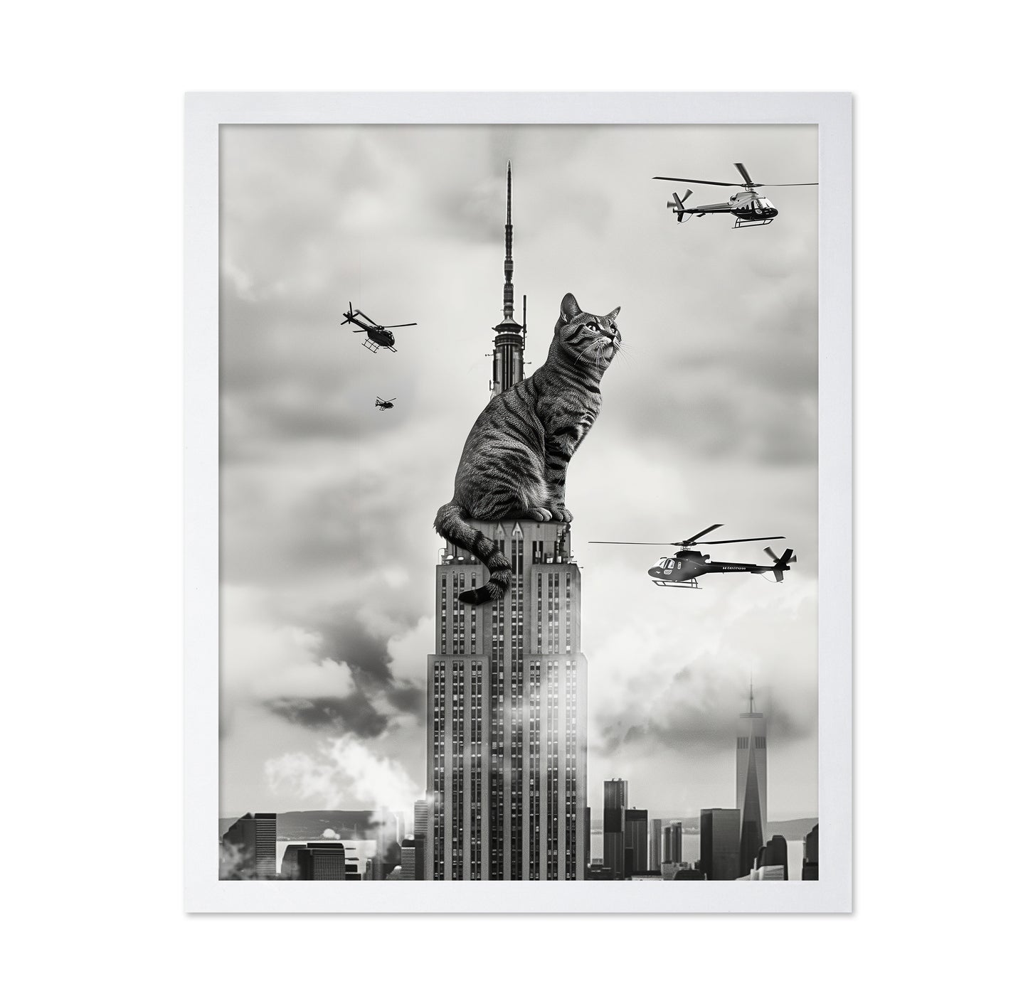 Cat On Top