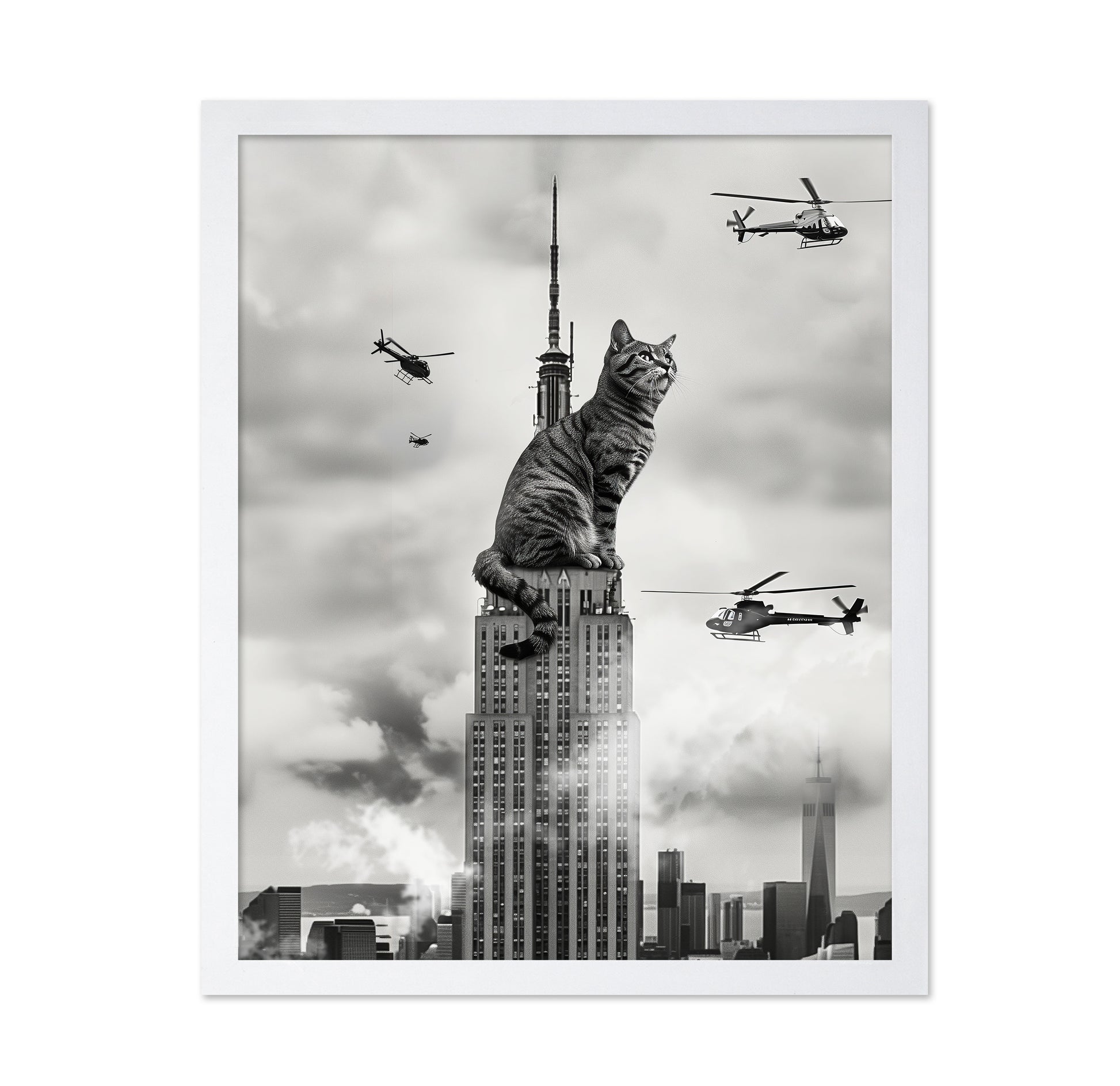 Cat On Top